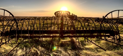 Large-scale Irrigation